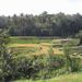 2005_indonesiatrip_241_2